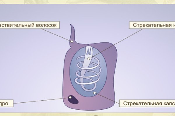 Кракен марихуана