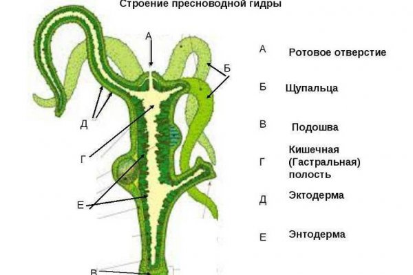 Войти на кракен