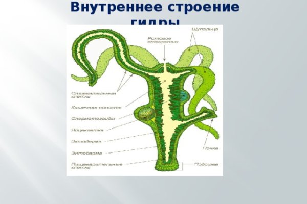 Кракен магазин наркоты