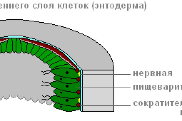 Vk14 at кракен